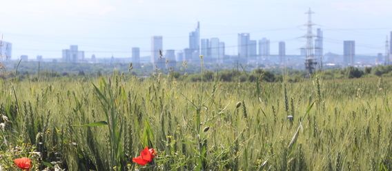 Quelle%3A%20Immobilien%20Zeitung%2C%20Urheber%3A%20Volker%20Thies Quelle%3A%20Immobilien%20Zeitung%2C%20Urheber%3A%20Volker%20Thies