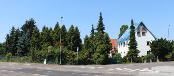 Quelle: Immobilien Zeitung, Urheber: Volker Thies Quelle: Immobilien Zeitung, Urheber: Volker Thies