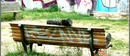 Quelle: <a href="http://www.pixelio.de" target="_blank">pixelio.de</a> Urheber: schubalu Quelle: <a href="http://www.pixelio.de" target="_blank">pixelio.de</a> Urheber: schubalu