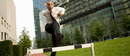 Quelle: Fotolia.com, Urheber: ismotionprem Quelle: Fotolia.com, Urheber: ismotionprem