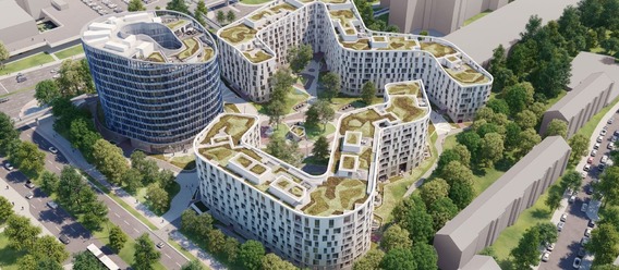 Quelle: hamburgteam, Urheber: Dreidesign Quelle: hamburgteam, Urheber: Dreidesign