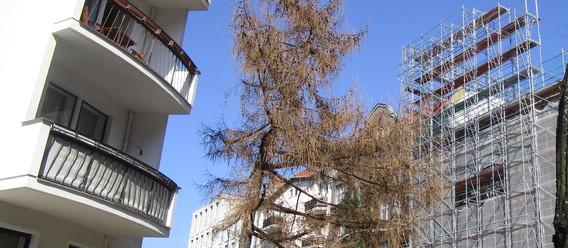Quelle: Immobilien Zeitung, Urheberin: Jutta Ochs Quelle: Immobilien Zeitung, Urheberin: Jutta Ochs