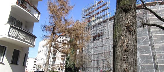 Quelle%20Immobilien%20Zeitung%2C%20Urheberin%3A%20Jutta%20Ochs Quelle%20Immobilien%20Zeitung%2C%20Urheberin%3A%20Jutta%20Ochs