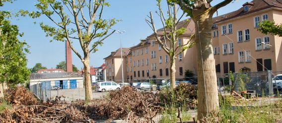 Quelle: Immobilien Zeitung, Urheberin: Dagmar Lange Quelle: Immobilien Zeitung, Urheberin: Dagmar Lange