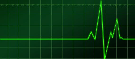 Quelle: stock.adobe.com, Urheber: Geesfrosh Quelle: stock.adobe.com, Urheber: Geesfrosh