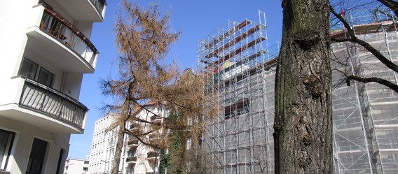 Quelle%3A%20Immobilien%20Zeitung%2C%20Urheberin%3A%20Jutta%20Ochs Quelle%3A%20Immobilien%20Zeitung%2C%20Urheberin%3A%20Jutta%20Ochs